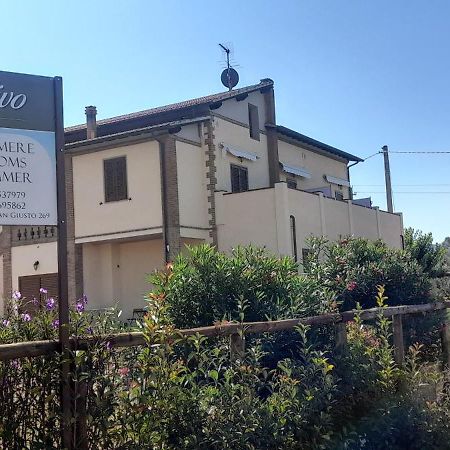 Agriturismo Il Vecchio Olivo Castagneto Carducci Exterior foto