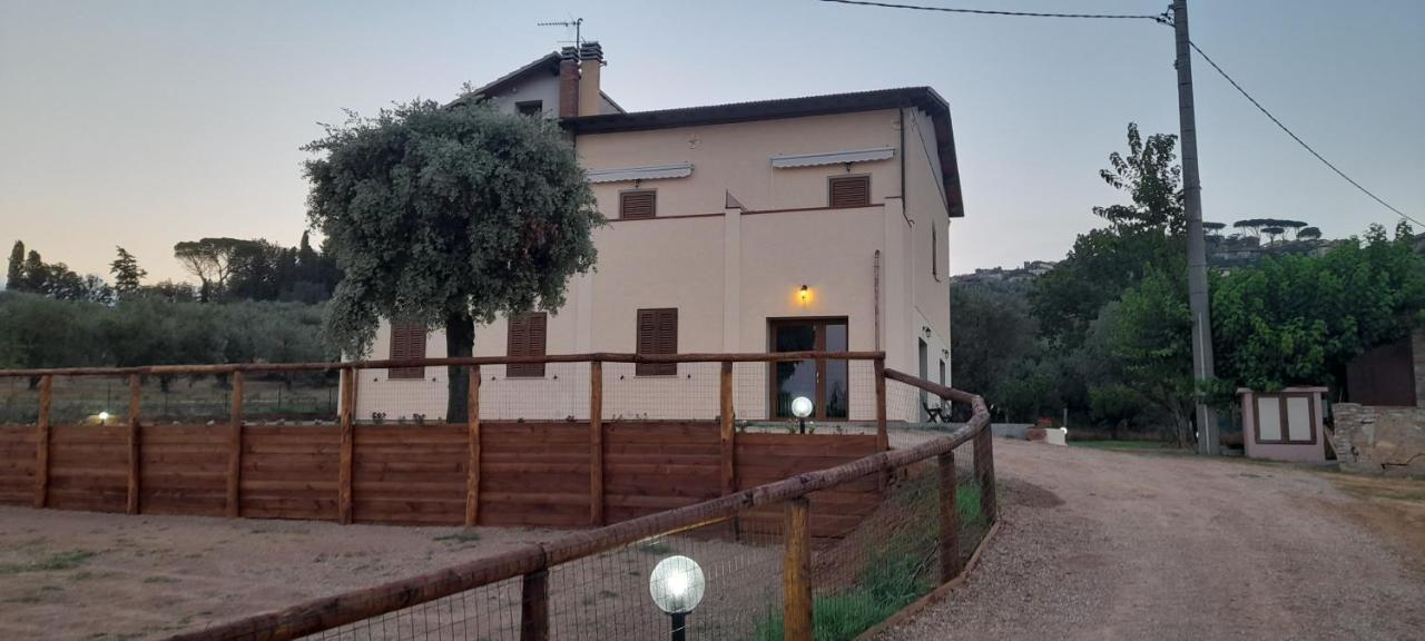 Agriturismo Il Vecchio Olivo Castagneto Carducci Exterior foto