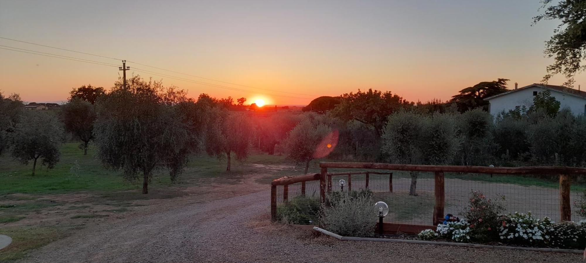 Agriturismo Il Vecchio Olivo Castagneto Carducci Exterior foto